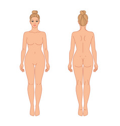 Woman Body Front And Back View