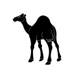 Camel Logo