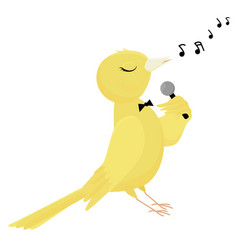 Singing Yellow Canary Isolated On White Background