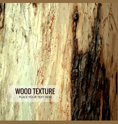 Wood Texture Template Design