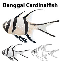 Doodle Animal For Banggai Cardinalfish