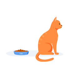 Picky Cat Refusing To Eat Food In Bowl Red