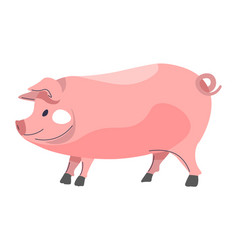 Pig Livestock Domestic Animal Farming Agriculture