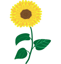 A Simple Single Sunflower Bloom Clip Art