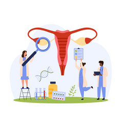 Health Of Female Reproductive System Gynecology