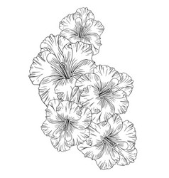 Tattoo Gladiolus Flower Drawing Doodle And Sticker