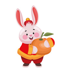 Chinese Rabbit With Orange