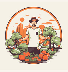 Farmer Harvesting Tomatoes In The Garden