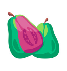 Guava Fruit Drawing Sliced