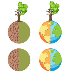 A Globe With Destroyed Side And Healthy Side