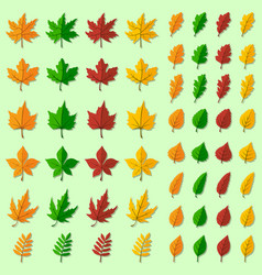 Big Set Of Green Brown Yellow And Red Leaves