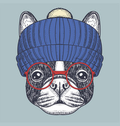 French Bulldog Wearing A Red Glasses And Beanie