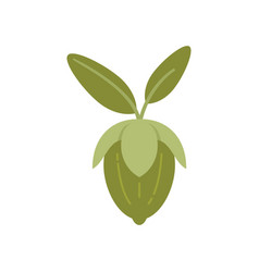 Jojoba Leaf Icon Flat Aroma Herb