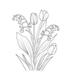 Tulips Drawing Aesthetic Cute