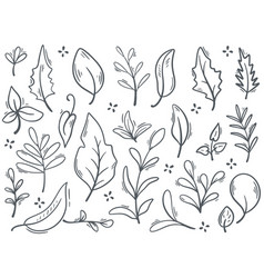 Foliage Ink Doodle Set Graphic