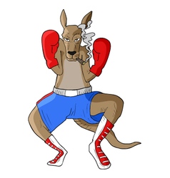 Boxing Kangaroo