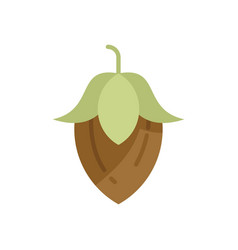 Organic Jojoba Icon Flat Plant Seed