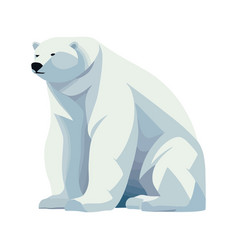 Cute Polar Bear Sitting