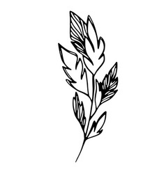 Delicate Sketch Of Leaves