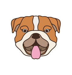 Head Cute Bulldog Ingles Dog On White