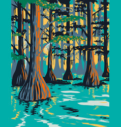 Caddo Lake State Park With Bald Cypress Trees