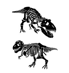 Graphical Set Of Dinosaur Skeletons Isolated