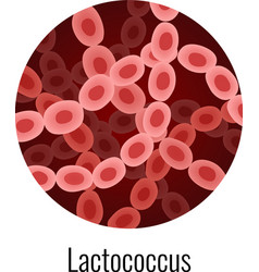 Lactococcus Bacteria Round Composition