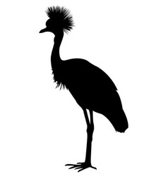 Crowned Crane Silhouette