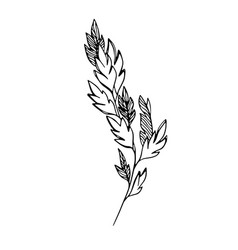 Delicate Sketch Of Leaves