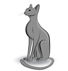 Image A Gray Cat Sitting On Its Hind Legs