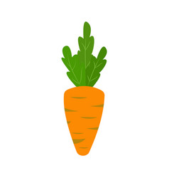 Orange Carrot With Green Leaves Cartoon Vegetables