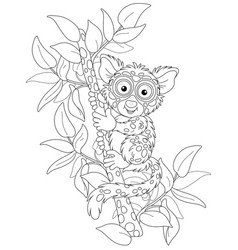 Philippine Tarsier On A Tropical Tree