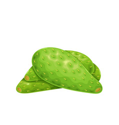 Green Cactus Leaf Nopales Icon