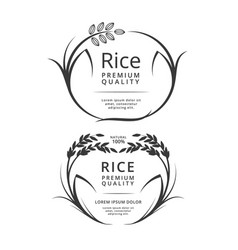 Premium rice great quality design concept Vector Image