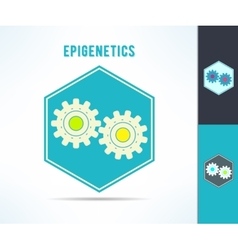 Dna Epigenetics And Genetics Mechanism