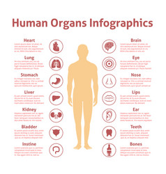 Human Infographic Set