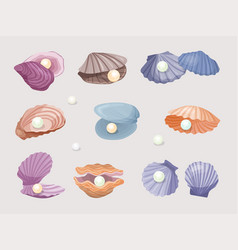 Seashell Natural Luxury Pearl In Sea Shells