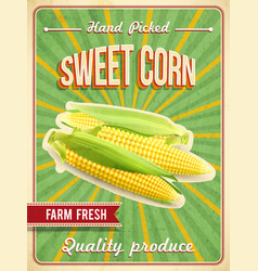 Sweet Corn Poster Corn Poster