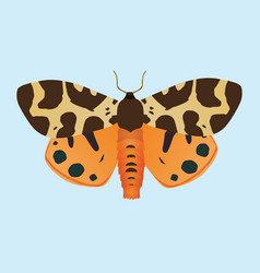 Garden Tiger Moth