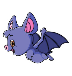 Baby Bat Is Trying To Fly In The Night