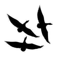 Flying Duck Silhouette Image