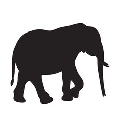 African Elephant Walking Silhouette