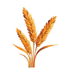 Ripe Wheat And Barley Bundle Symbol Of Harvest