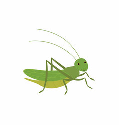 Cartoon grasshopper presenting Royalty Free Vector Image