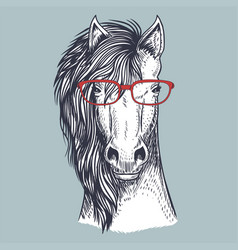 Horse Hand Drawn Wearing A Red Glasses