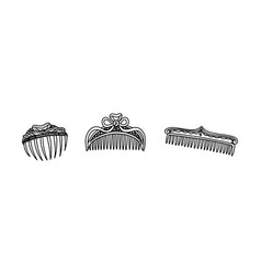 A Set Of Various Combs For Hair Antique Womens