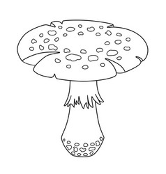 Fly Agaric Big Spotted Mushroom - Linear