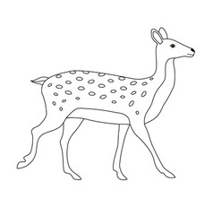 Hand Drawn Flat Outline Deer