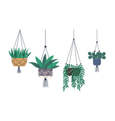 Room Plants Greenhouse Hanging Pots Isolated