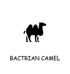 Bactrian Camel Flat Icon